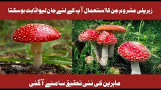 uses of mashrooms.|ghar ka doctor