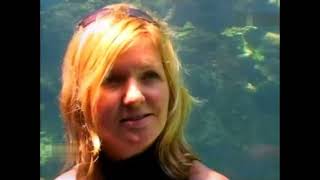 Female Diver is Diving with Neoprene Wetsuit in Aquarium