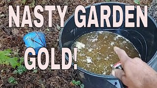 FISH EMULSION | garden gold fertilyzer | made at home | how it's made | @WILLITGROW