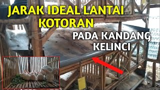 UKURAN IDEAL JARAK LANTAI ALAS KOTORAN KANDANG KELINCI