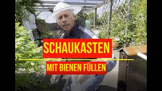 Schaukasten befüllen