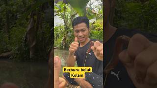 BERBURU BELUT KOLAM #part4 #shortvideo #shorts #short #kolam #sawah