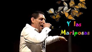 Y las mariposas