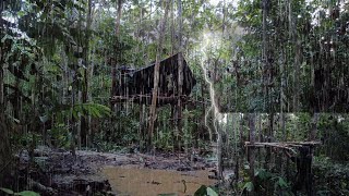 MEMBANGUN SHELTER APA ADANYA | HUJAN DERAS SEMALAMAN DIHUTAN BELANTARA KALIMANTAN