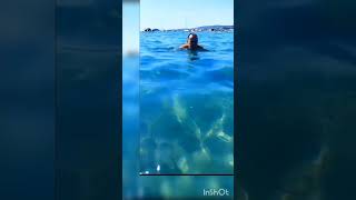 Moana à l'aise dans la baie de Bandol, un dos fin ou un dauphin ?  #dauphin #baignade #Triton