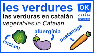 Les verdures / Las verduras en catalán / Vegetables in Catalan 🥦  🍅 🥕 🧅 | OK CATALÀ | 4K