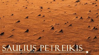 Saulius Petreikis - Saulę pasitinkant