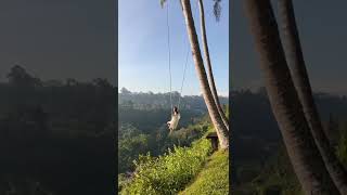 Swings high over the jungle in Bali #bali #beautifulhotels #travel #shorts