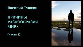 ПРИЧИНЫ РАЗНООБРАЗИЯ МИРА (Часть 2). ЛЕКЦИИ#42