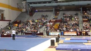 2015 OU vs MN - Rachel Haines - Vt (9.675)