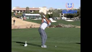 Tiger Woods Golf Swing 2015 7i DL