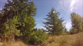 8026 Dawn Hill Dr SE, Olympia WA - vacant land for sale