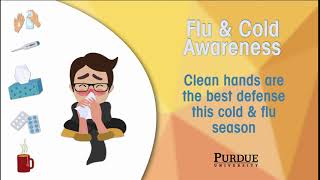 Flu&Cold animation 20200129