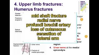 fracture of humerous|upper limb anatomy|fcps part-1 preparation forum|cpsp favorite BCQUES