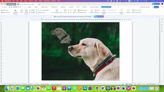 How To Center Picture In WPS Office Writer