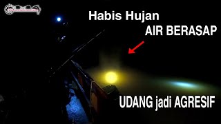 Habis Hujan, Air Jadi Hangat Udang Jadi Agresif #shrimpfishing @MandauTV