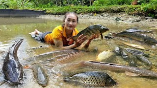 Catch fish & trap fish in the rainy season - Spring Roll Recipe, Processing banana flowers - Cooking