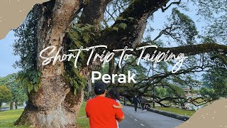 Where to Stay in Taiping, Perak?Hotel Grand Baron | Raintree Walk Taiping Lake Garden🌿 #malaysiavlog