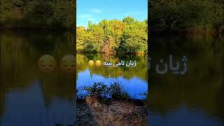 قورئان خوێن : ئیدریس ئەبوبەکر 💖