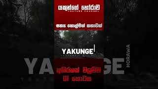 අභිරහස් වලව්ව 01 කොටස | sinhala holman katha  #horrorstories  #viral  #foryou  #ghost #storytime