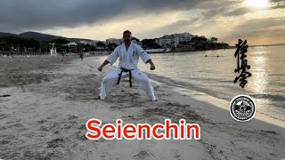 KYOKUSHIN KARATE SEIENCHIN KATA