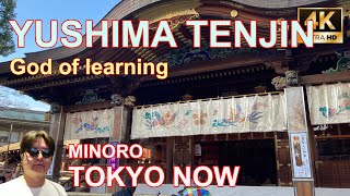 [4K] Yushima Tenjin 01/16/2022 | 湯島天神 TOKYO NOW