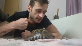 Keeping Tortoises!