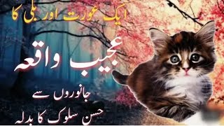 BILLI KE SATH HUSNE SALOOK KA BADLA BY ALHAJ HAFIZ MOHAMMED ARIFUDDIN SAHAB 😍