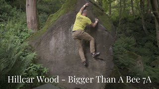 Hillcar Wood - Bigger Than A Bee 7A