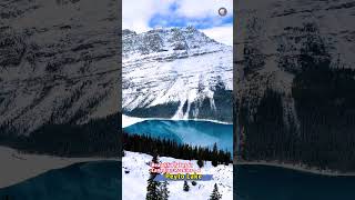 Peyto Lake in four seasons, 加拿大落叽山美景-4 Peyto湖，四季美景，你都去看过吗？#travel #shorts #trending