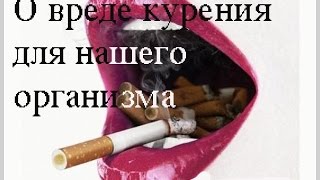 Влияние и вред курения на организм человека