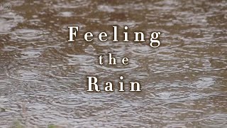 Feeling the Rain : Music Makes Mind Havens