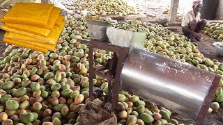 How To Make Mango Jelly Making Process Video | Small Business Ideas | Small Scale Industry Ideas