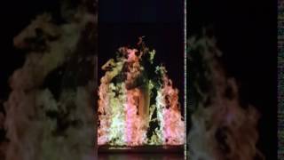 Altro - Bill Viola, Rinascimento elettronico 27