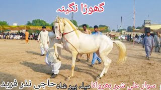 Horse Dance 2023 Dhamal with Dhol | Haji Nazar Farid Malika