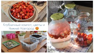 Клубничный компот, цветы и Нижний Новгород 😍