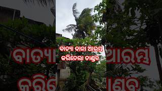 ବାତ୍ୟା ଦାନା ଆରମ୍ଭ କରିଦେଲା ତାଣ୍ଡବ😱//#maamangalayouthclub #shorts#batyadana#cyclone