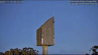 FalconCam 2023 11 18 Tower at dusk