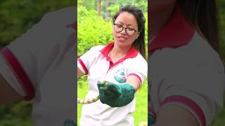 Nepali Girl new snake rescuer