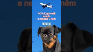 Když vidíš letadlo ✈️