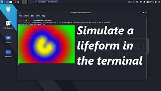 Simulate a lifeform in the terminal