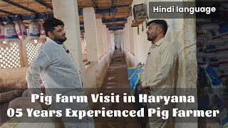 Pig Farm Visit in Haryana | 5 Years Experienced Pig Farmer #swastikpigfarm #pigbreeding #pigindustry