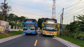 ARTIS BUS TELOLET PUTRA UTAMA OYAG BASURI CORONG 12