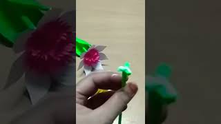 Beautiful origami paper flower 🌹🌺🏵️💐🌼#shortvideo #shots #youtubeshorts #viralvideo  #trendingshorts