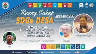 SS: Kolaborasi Potensi Ekonomi Lokal "Testimoni Budidaya Lele" | Ruang Cakap SDGs Desa #393