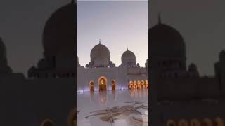 Short || sheikh Zayed Masjid || AbuDhabi 🇦🇪 || like&subscribe