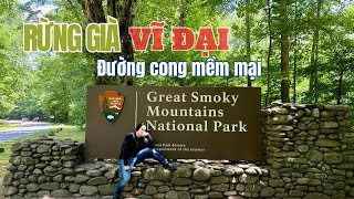 Bỏ phố vào rừng tu giữa bồng lai tiên cảnh sương khói mờ nhân ảnh Great Smoky National Park