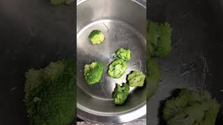 BROCCOLI, CARROT & APLLE PURÉE FOR 6 MONTHS+ BABY| ORGANIC FOOD RECIPES|STAGE 2|SOLIDS|LED Weaning