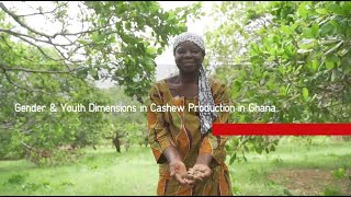 Gender & Youth Dimensions in Cashew Production in Ghana