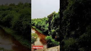 Barish...Yaad....#india #rain #rainyday #love #lovestatus #nature #camera #photography #viral #trend